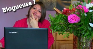Maladie, handicap : quelle activité professionnelle ? devenir blogueuse